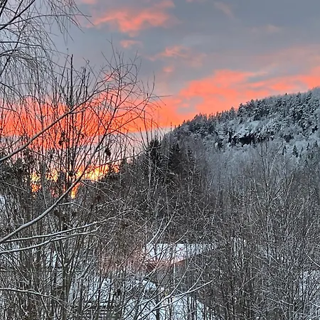 Cosy & Garden Bed & Breakfast