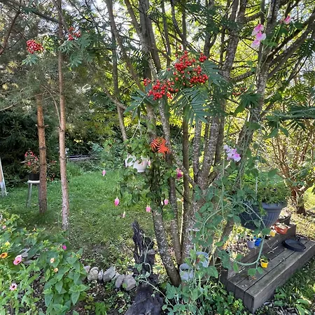 Cosy & Garden 3* Asker